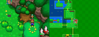 MLBIS Dimble Wood Bean12.png
