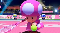 MTA Toadette Screenshot.jpg