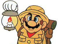 MariosPicrossArt2.png