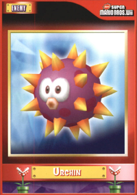 NSMBWiiTC-40-Front.png