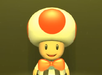 Toad MP4 end sequence.png