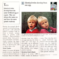 Twins quiz card back.png