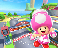 MKT Icon MarioCircuitDS ToadetteSailor.png
