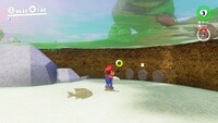 Mushroom Kingdom Coins Y.jpg