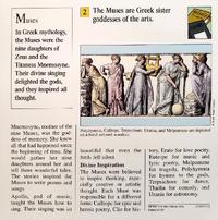 Muses quiz card back.png