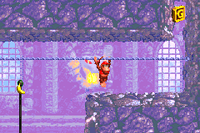 ChainLinkChamber-G.png
