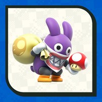 PN SMBW Character Poll opt12.jpg