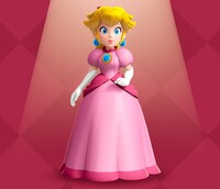 PPS Regular Dress.jpg