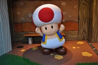 Toad Photo Opportunity.jpg