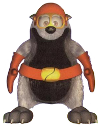 Bummper.png