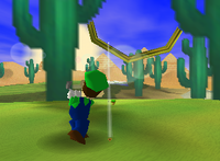 CactusArms.png
