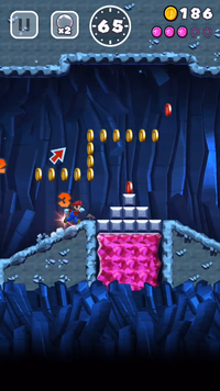 ChasetheSnakingCoins SMR.png