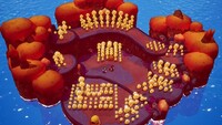 M&LB Smahl Islet Contest.jpg