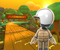 MKT Icon RiversideParkGBA BrownMiiRacingSuit.png