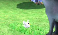 MSS Bird.png