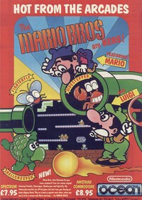 Mario Bros computer flyer.jpg