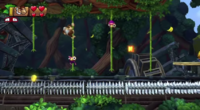 CanopyChaosN.png
