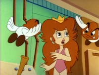 ContinentsforKoopas4.png