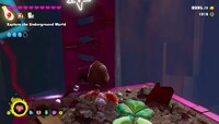 DKB Ingot Isle Hiddentone 4.jpg