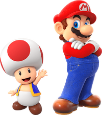 MvDK NS Mario Toad.png