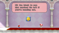 NSMBW Peach Castle inside.png