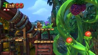 Plant.jpg