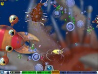 SW186Origin-10.jpg