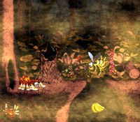 Web Woods DKC2 shot 2.png