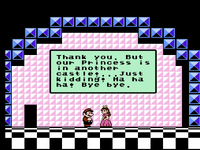 NM SMB3 Ending.png