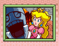 PuzzleD SPP.png