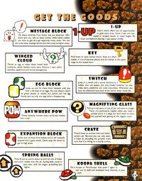SMW2 Guide 13.jpg