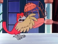 AngryParrot.png