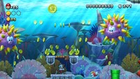NSMBU 3-2 Coin 2.jpg