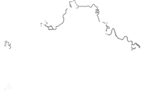 Boomerang Rally Both.png