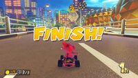 NFBirdo2.jpg