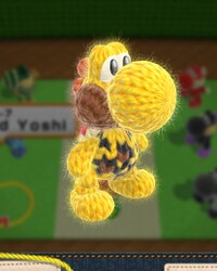 YWW 4-7 Leopard Yoshi.jpg