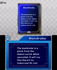 Mandrake Bio (C).jpg