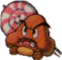 BIS Chuboomba Prima.png