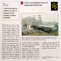 Coal quiz card back.png