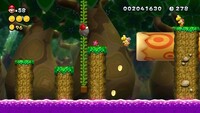NSMBU 5-2 Secret Exit.jpg