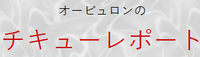 Orbulon no Chikyū Report.png
