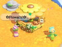 SMBWNS2EFloristPoplinShopAttractionCentral.jpg