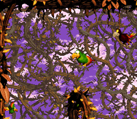 Screech's Sprint DKC2 race.png
