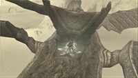 ShadowoftheColossusScreenshot2.jpg