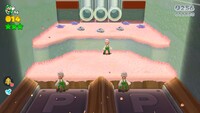 191SW4Steps-2.jpg