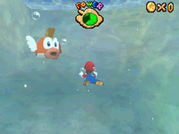CheepCheepsm64ds.png