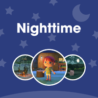 NM Nighttime PL.png