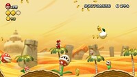 NSMBU 2-6 Coin 3.jpg