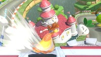 SSBU Daisy Vegetable.jpg