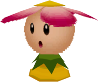 Spindriftmario64ds.png